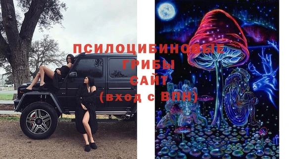 ГАЛЛЮЦИНОГЕННЫЕ ГРИБЫ Ивангород