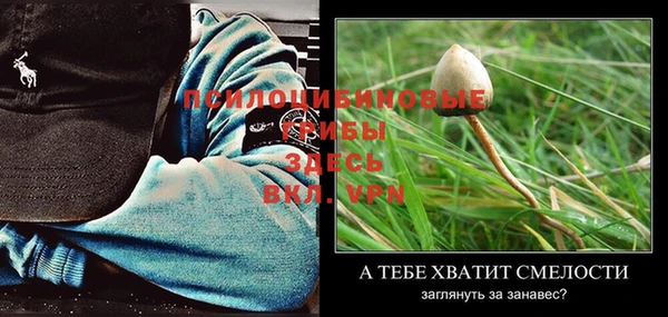 кокс Зуевка