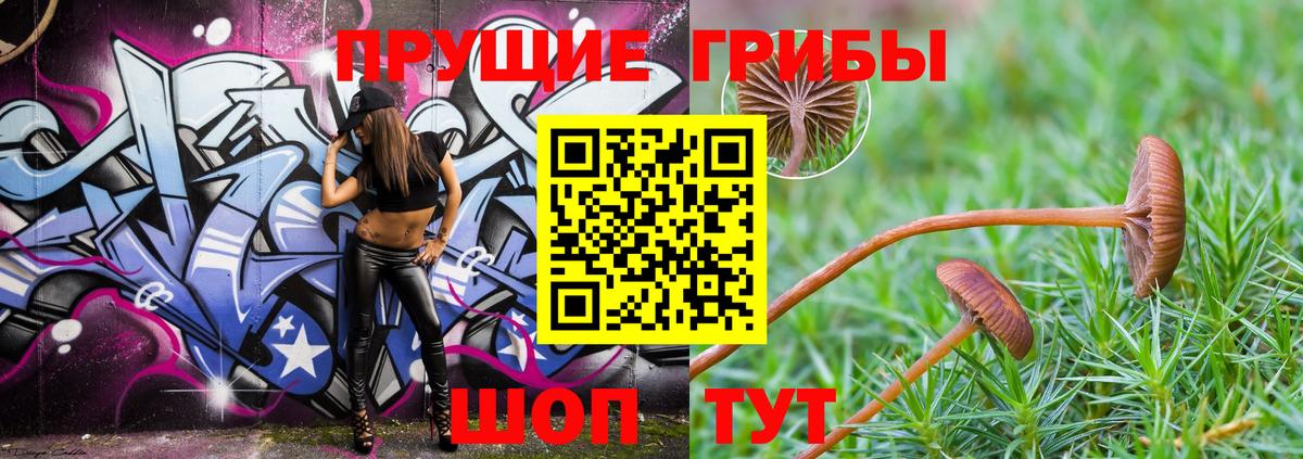 Галлюциногенные грибы ЛСД  Галлюциногенные грибы мухоморы  Большой Камень 