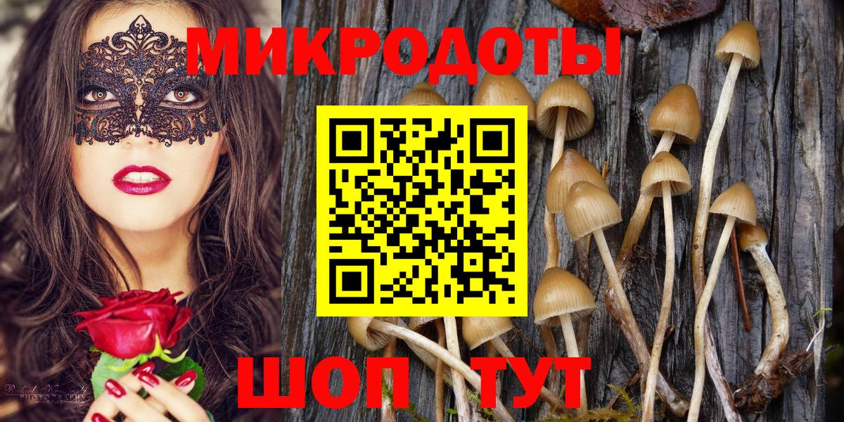 Галлюциногенные грибы Magic Shrooms Большой Камень