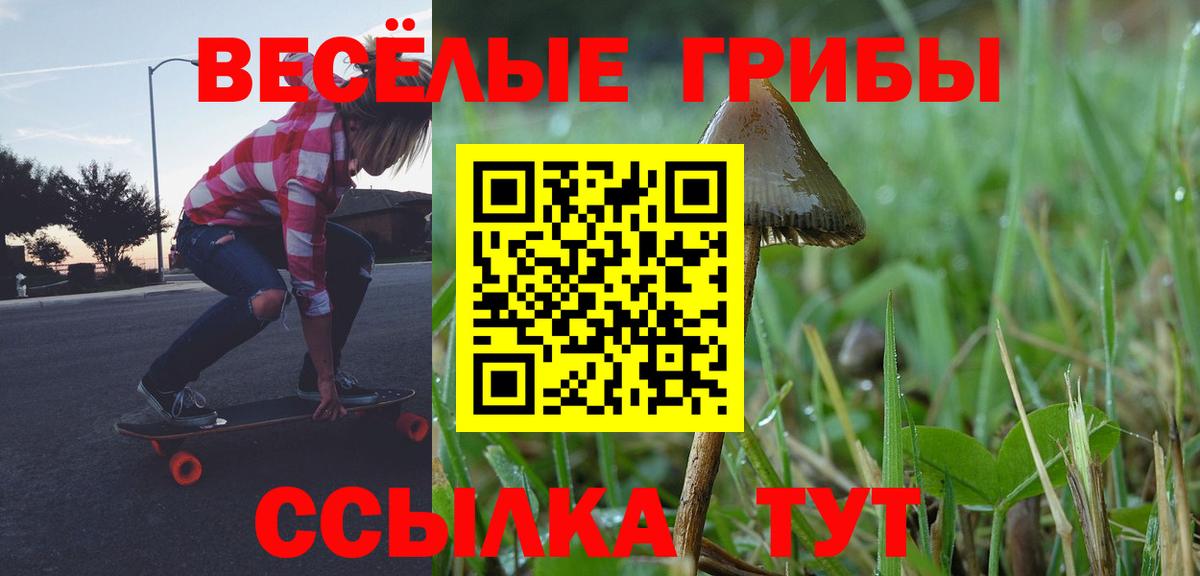 Псилоцибиновые грибы мухоморы Большой Камень
